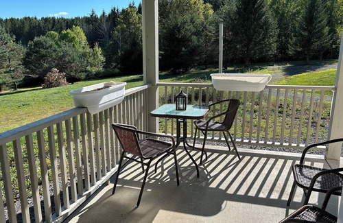 Richmondville Maison | Cozy New Family-friendly Two Bedroom Home on 90 Tranquil Acres in Richmondville
