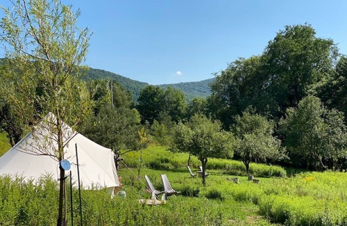 Denver Cabine | Cozy Off-grid Cabins in beautiful Denver, NY, Catskills with WiFi - Sleeps 4