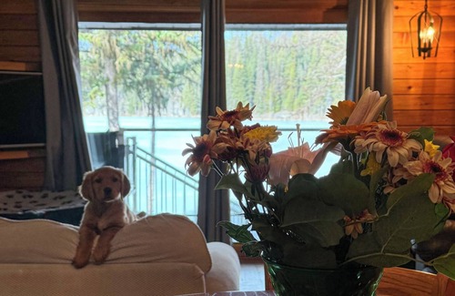 Idabel Lake Cabine | Cozy Pet-Friendly Cabin at Idabel Lake - Two bedrooms, sleeps 6, close to skiing