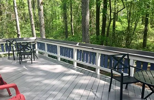Pine Mountain Chalet De Ski | Cozy Pine Mountain Chalet Minutes Away from Callaway Gardens