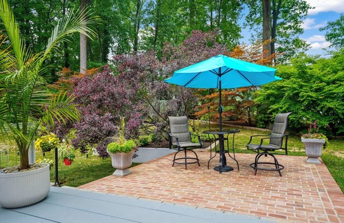 Springfield Appartement | Cozy Private studio. Pet-Friendly. Conveniently located. Access 395, 495 and I95