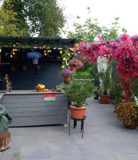 Baunatal Maison | Cozy room with a beautiful garden view