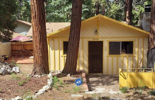 Forest Falls Maison | Cozy Rustic 1-bedroom mountain home with 2 fireplaces