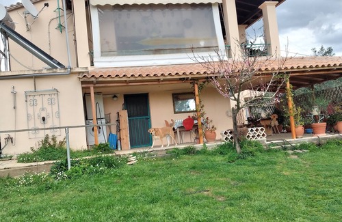 Raches Appartement | Cozy studio apartment in the middle of a large garden. Have dogs.