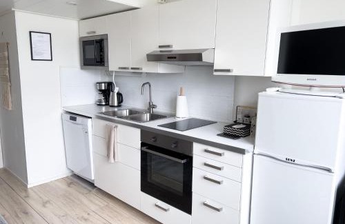 Downtown Kuopio Appartement | Cozy Studio Apartment in the Heart of City Centre
