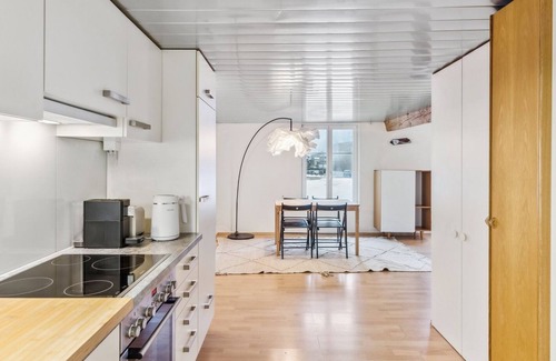Dietikon District Appartement | Cozy Studio Charm Sum