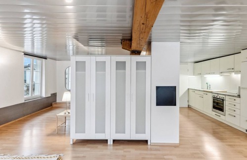 Dietikon District Appartement | Cozy Studio Charm Sum