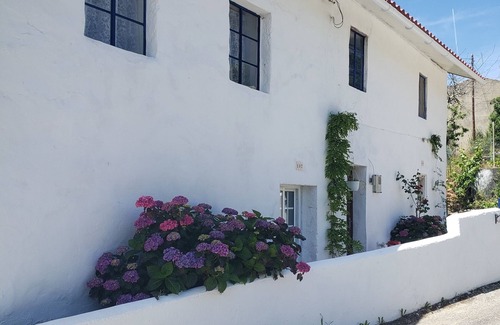 Macao Appartement | Cozy studio in the mountains of Central Portugal! Vegan and pet friendly!