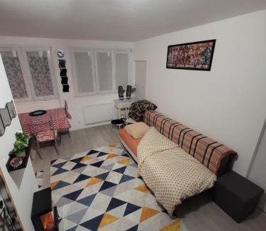 Fleury-les-Aubrais Appartement | Cozy studio, proche gare des aubrais