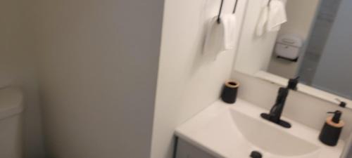 Calverton Appartement | Cozy Studio Walk to Shops, Quick Drive to DC