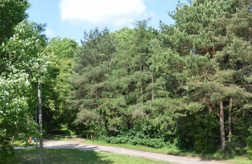 Biendorf Maison | Maison suédoise confortable avec cheminée, sauna, jardins d'hiver entre Rerik et refroidissement bo