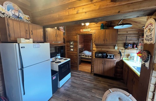 Turin Cabine | Cozy Tug Hill 4-bedroom cabin located directly on the trails in Turin NY