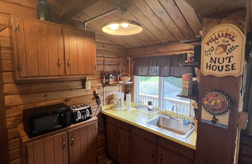 Turin Cabine | Cozy Tug Hill 4-bedroom cabin located directly on the trails in Turin NY