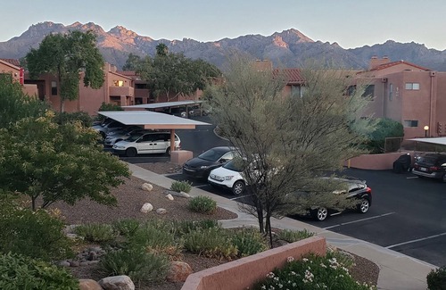 Tucson Maison | NOUVEAU Condo confortable, unique et propre à distance de marche des visites de Sabino Canyon!