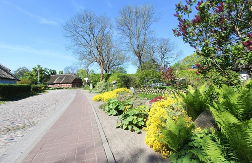 Gross Zicker Appartement | Cozy vacation apartment with terrace and garden - Ferienhaus Zaunkönig FeWo EG