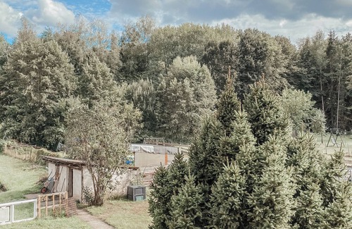 Erlenbach bei Dahn Appartement | Cozy vacation apartment in the Dahner Felsenland. Perfect for hiking!