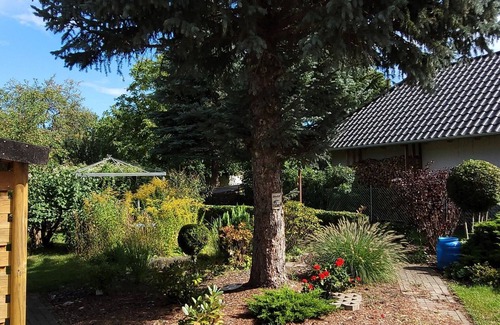 Drebkau Maison | Cozy vacation apartment in the countryside - a stone's throw from the Spreewald!