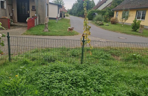 Siedenbollentin Maison | Cozy vacation home in Mecklenburg-Vorpommern with a large garden