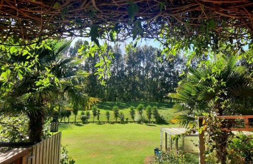Tauranga Maison | Cozy Vacation House in Oropi