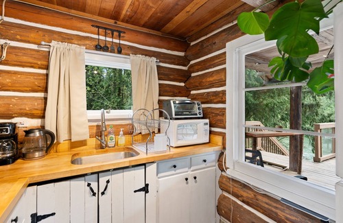 Castle Rock Cabine | Cozy Washington Log Cabin: Riverside Retreat