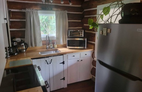 Castle Rock Cabine | Cozy Washington Log Cabin: Riverside Retreat