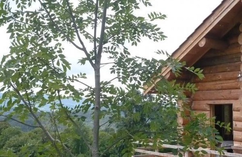 Saint-Martin-la-Sauvete Cottage | Chalet chaleureux avec poêle à bois et internet à Saint-Martin-la-Sauveté