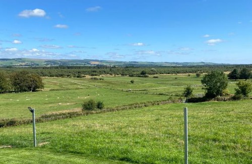 Dumfries Autre | Craigend Farm Holiday Pods - The Woolly Sheep