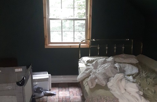 Town of Clifton Cabine | Cranberry Lake New York - Year Round Cottage