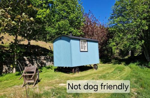 Beauly Cabine | Craskie Glamping Pods