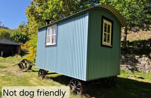 Beauly Cabine | Craskie Glamping Pods