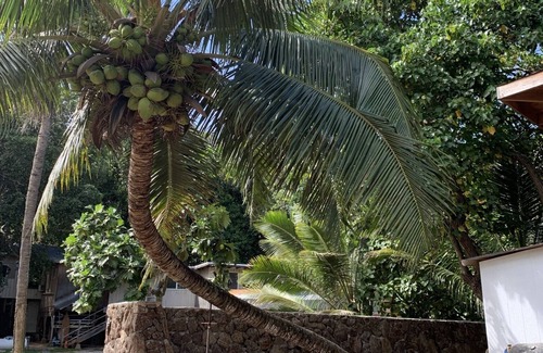 Laie Maison | Create one of the most unique experiences on the beautiful Lā’ie country side.