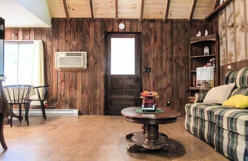 Montrose Cabine | Creekside Cabin Near Salt Springs Park!