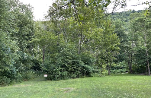 Hillsgrove Cabine | Creekside Cabin on Loyalsock Creek