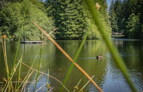 Paradise Estates Maison | Creekside Cabin with Hot Tub-Fireplace-Pool Table