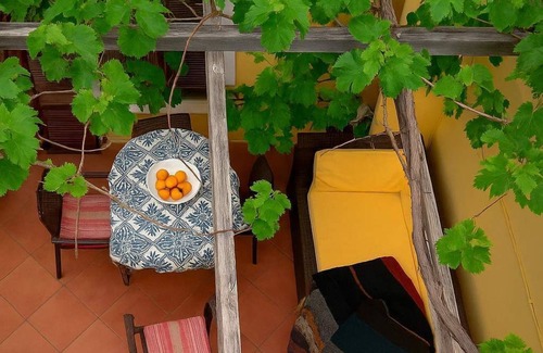 Skotino Maison | Cretan Magnolia Gem - Smari Cozy Getaway