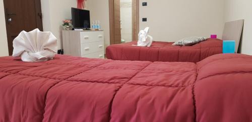 Alba Maison | Cristallo Camere