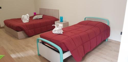 Alba Maison | Cristallo Camere