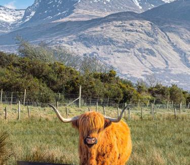 Banavie Appartement | Croft cabin