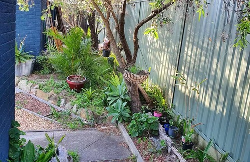 Cronulla Appartement | Cronulla - Charming, Quiet 1 Bedroom Apartment