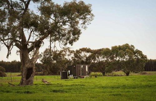 Trawalla Maison | Crossing Pines by Tiny Away