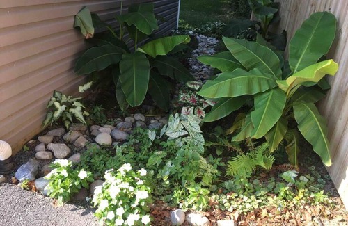 Lewes Appartement | Crow's Nest - Private Guest Apt Near Bike Trail/3.7 mi to Beach