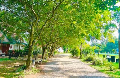Nattandiya Hôtel | Crown Holiday Village near Marawila