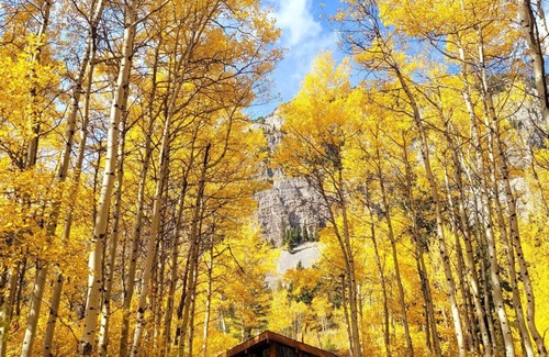 Crowsnest Pass Cabine | Crowsnest River Chalet - Eagle