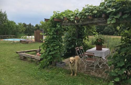 Szalafo Maison | Csörgő Vendégházak