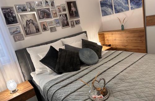 Kalocsa Appartement | Csatangoló Lovas Apartman Silver