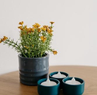 Veroce Maison | Csillagvirág Apartman