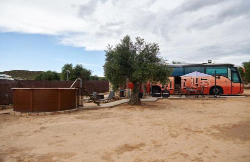 Chinchon Autre | cuchibus