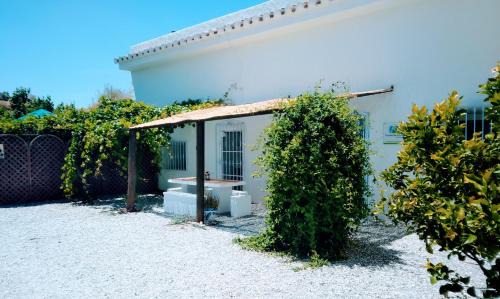 Freila Maison | Cueva Alfano