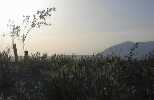 Baza Appartement | Cuevas Alcobas