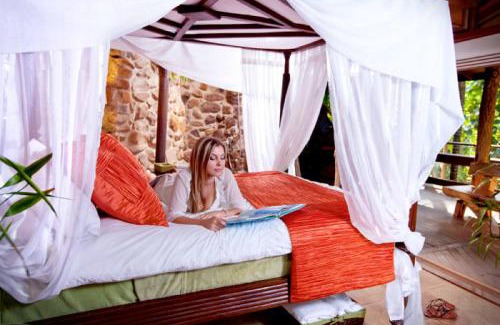 Currumbin Valley Maison | Currumbin Rainforest Treehouse